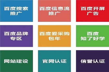 案例解析：SEM托管代运营团队风采